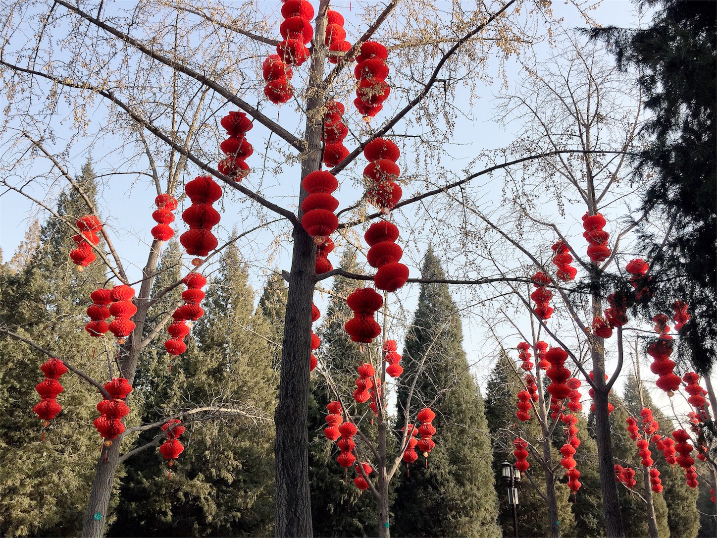 f:id:byronko:20180119123926j:image