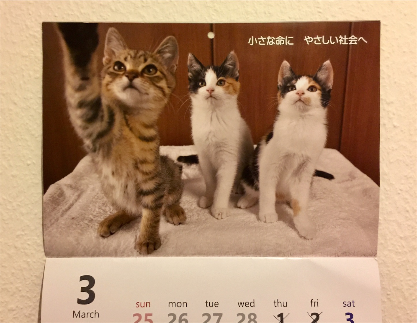 f:id:byronko:20180302183712j:image f:id:byronko:20180302183712j:image