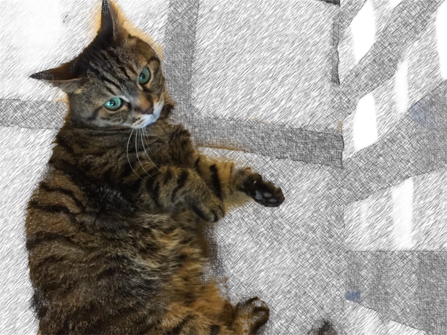 f:id:byronko:20180302183945j:image f:id:byronko:20180302183945j:image