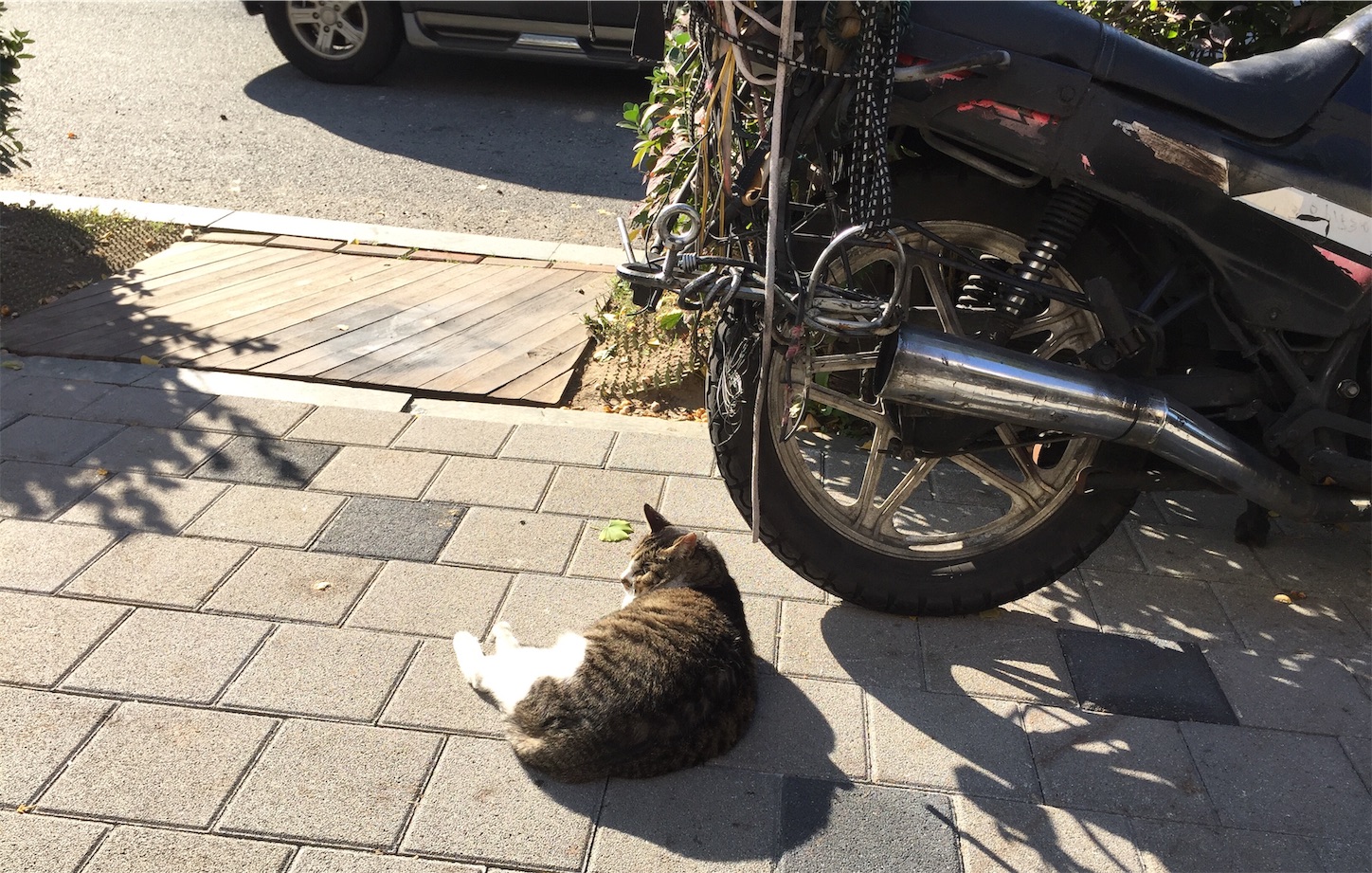 f:id:byronko:20181103171133j:image