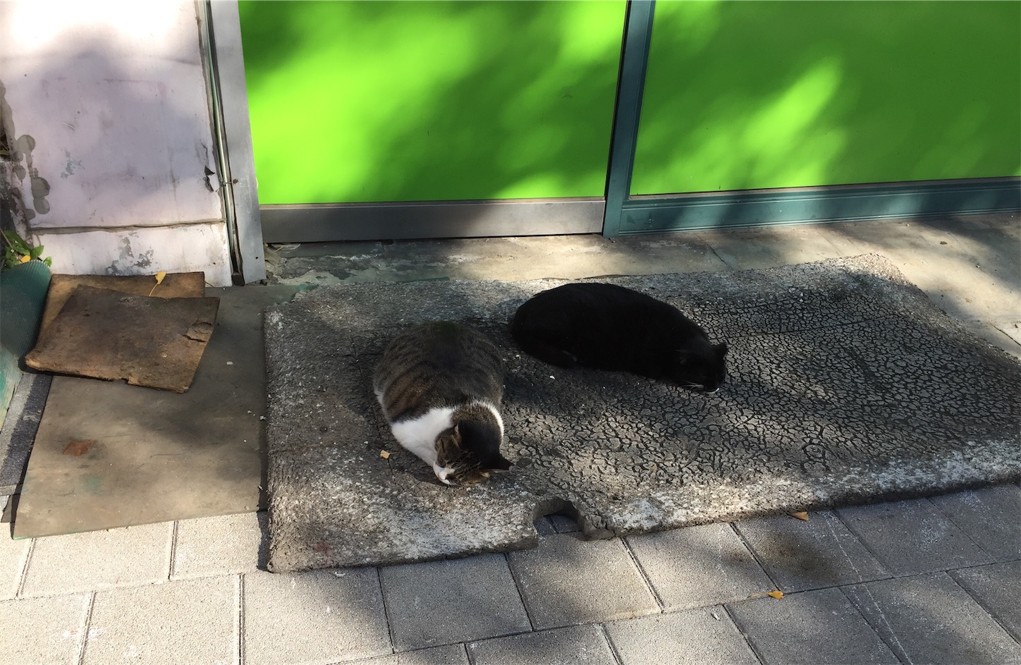 f:id:byronko:20181103171145j:image