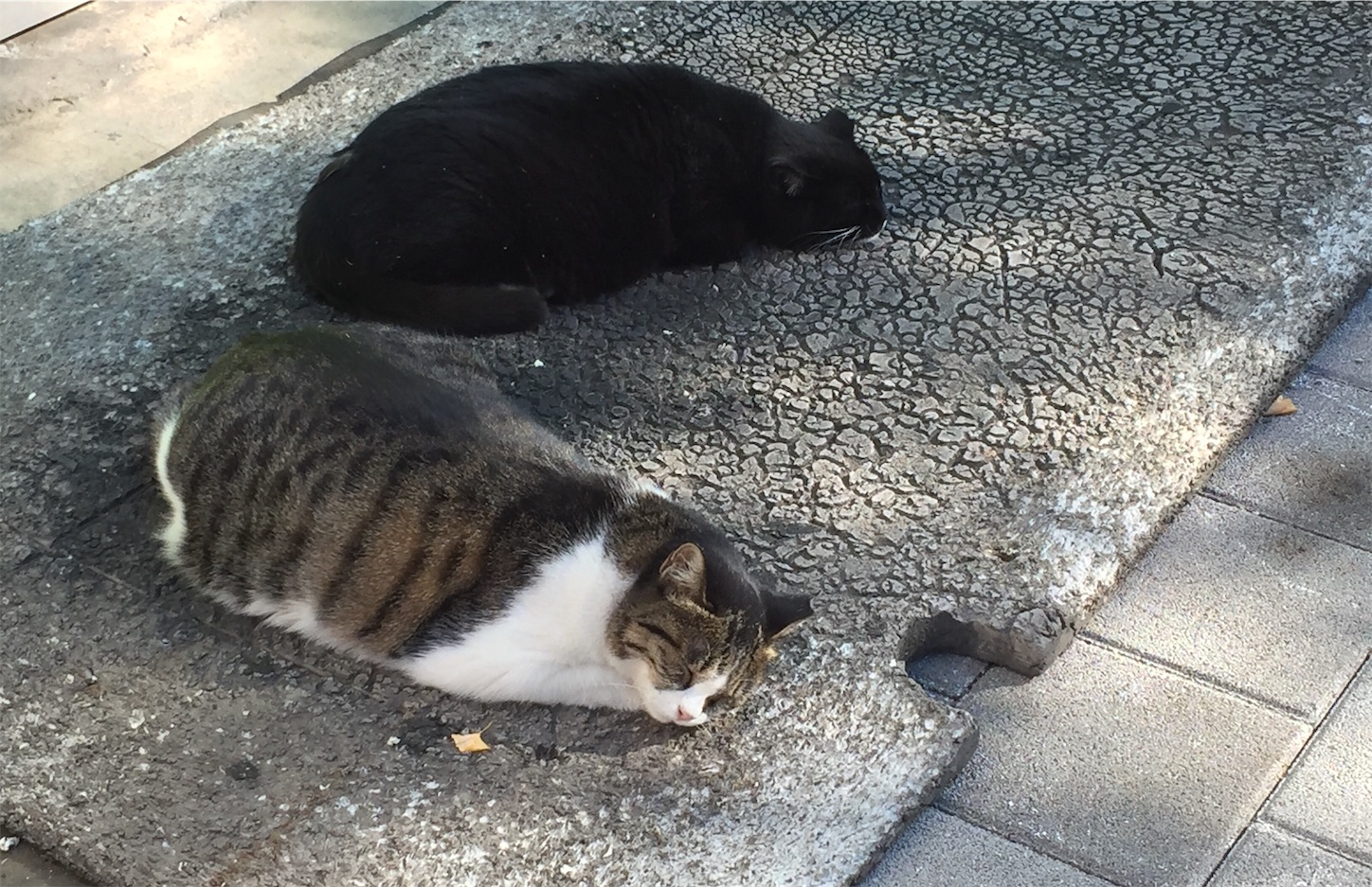 f:id:byronko:20181103171215j:image