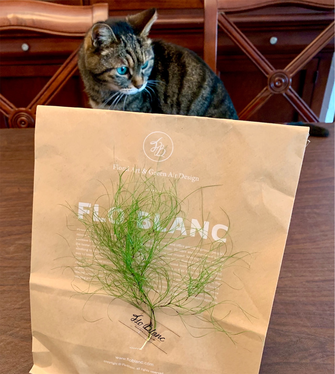 f:id:byronko:20191119170920j:image