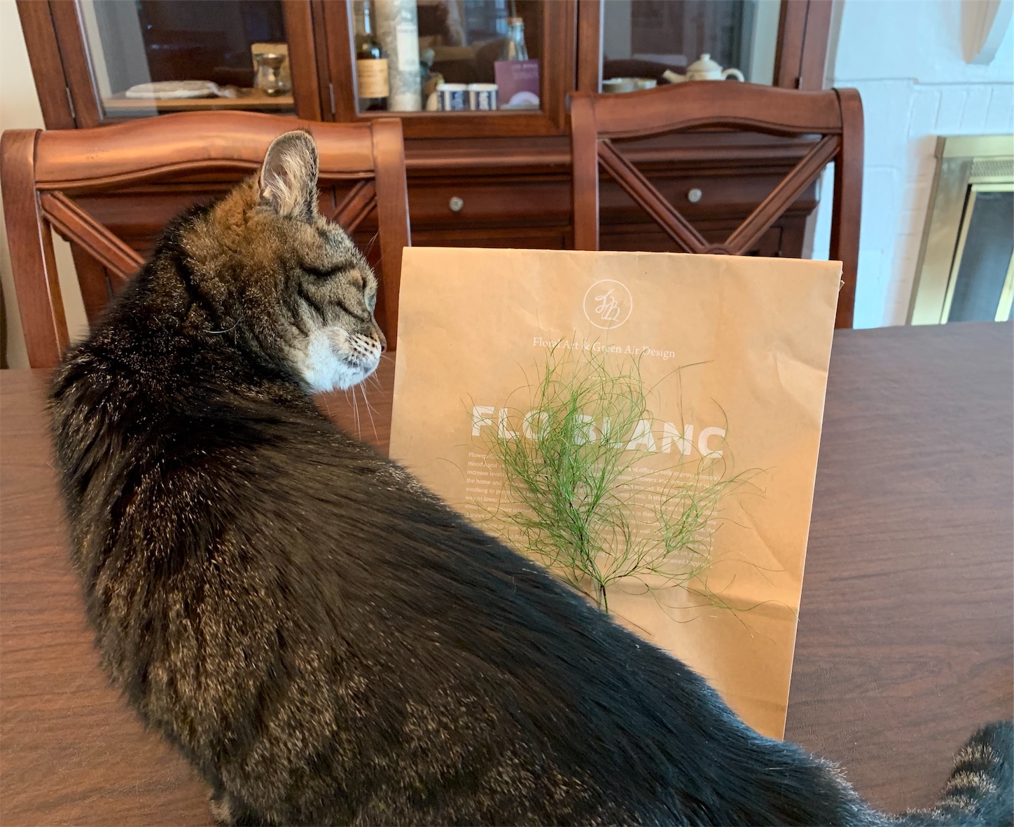 f:id:byronko:20191119170939j:image