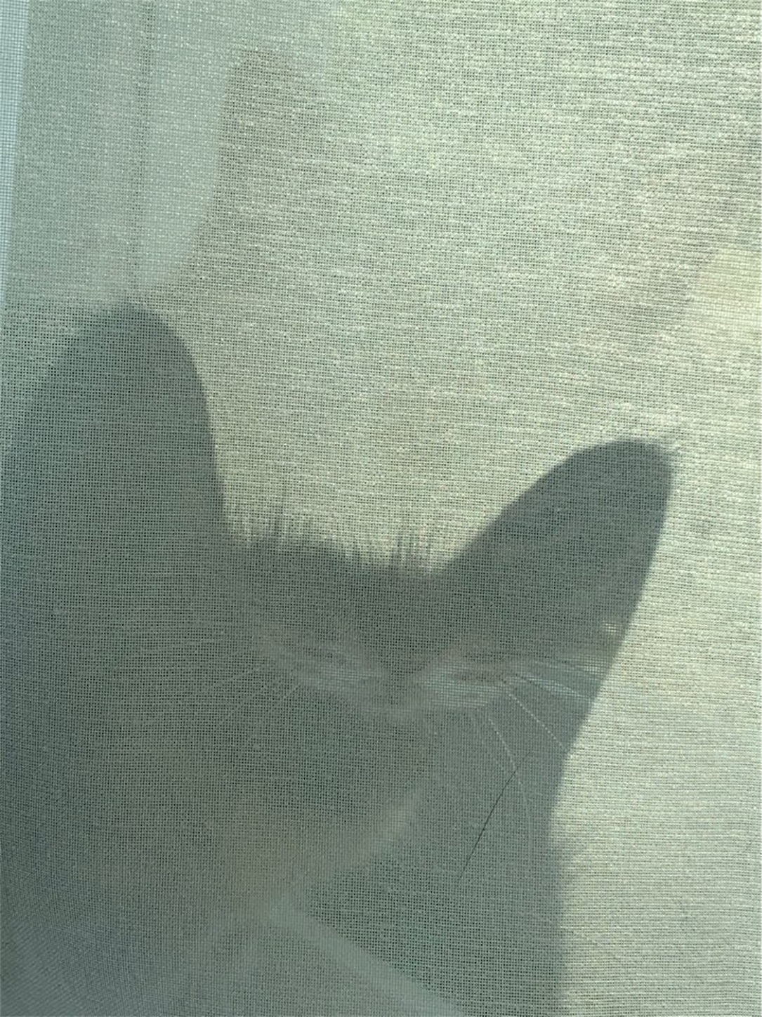 f:id:byronko:20191204091430j:image