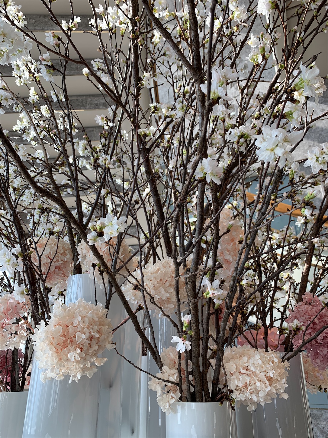 f:id:byronko:20200319183458j:image