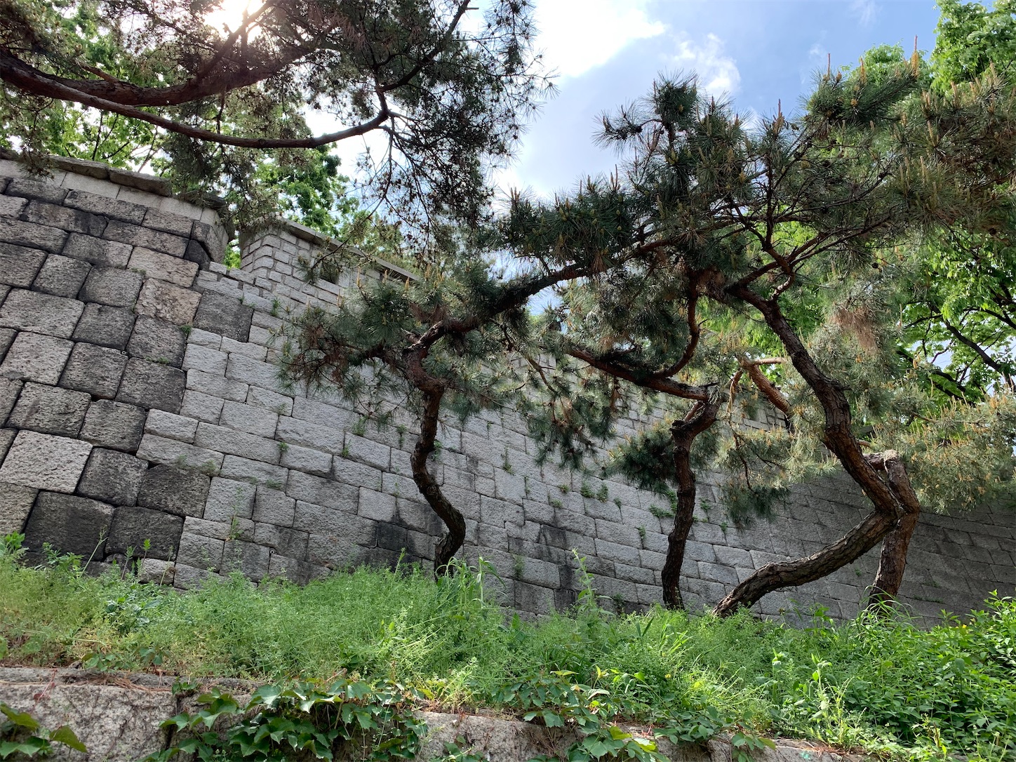 f:id:byronko:20200608115939j:image