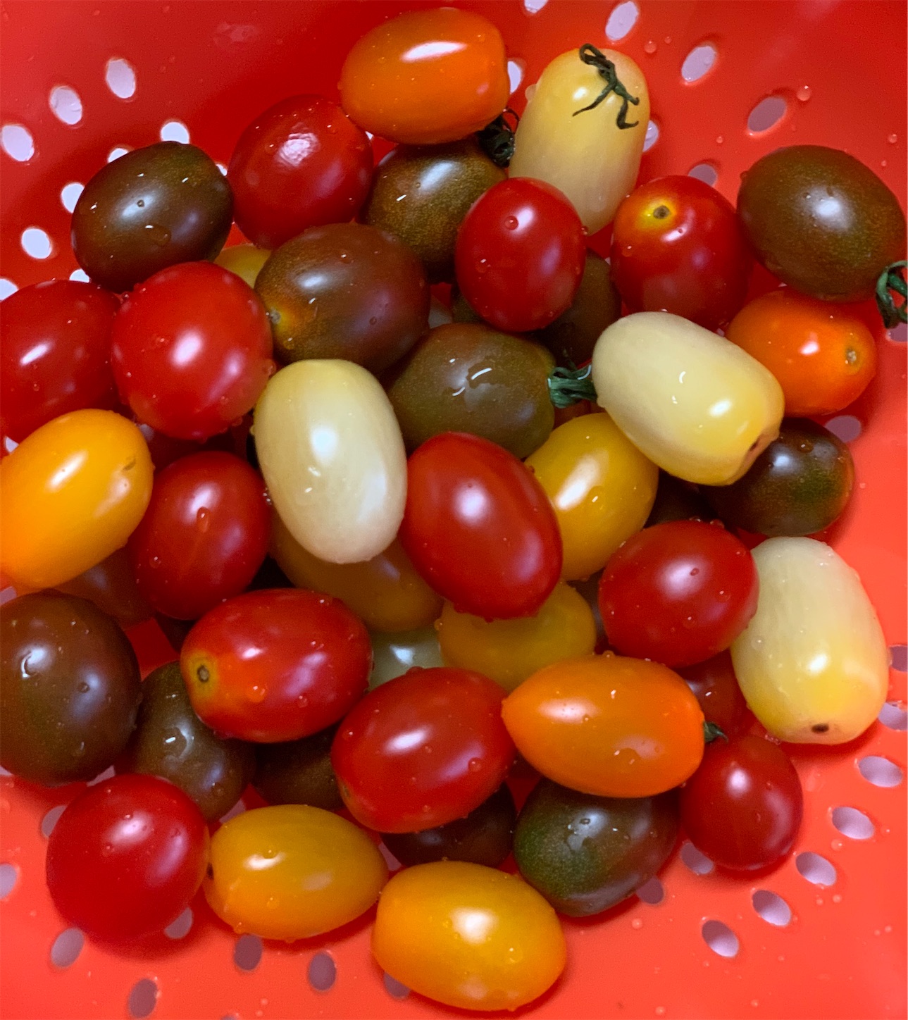 f:id:byronko:20200621202456j:plain