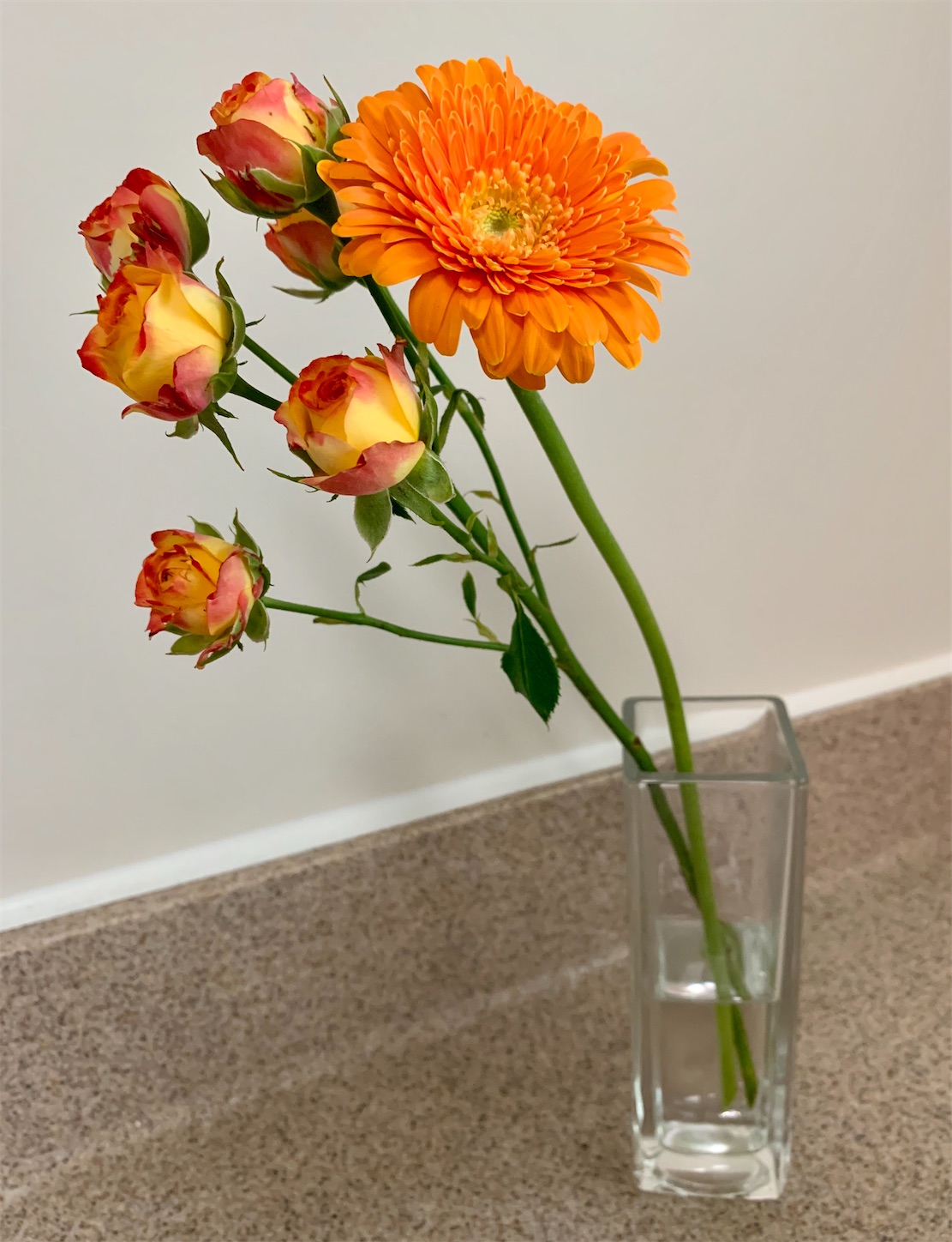 f:id:byronko:20200701161429j:plain