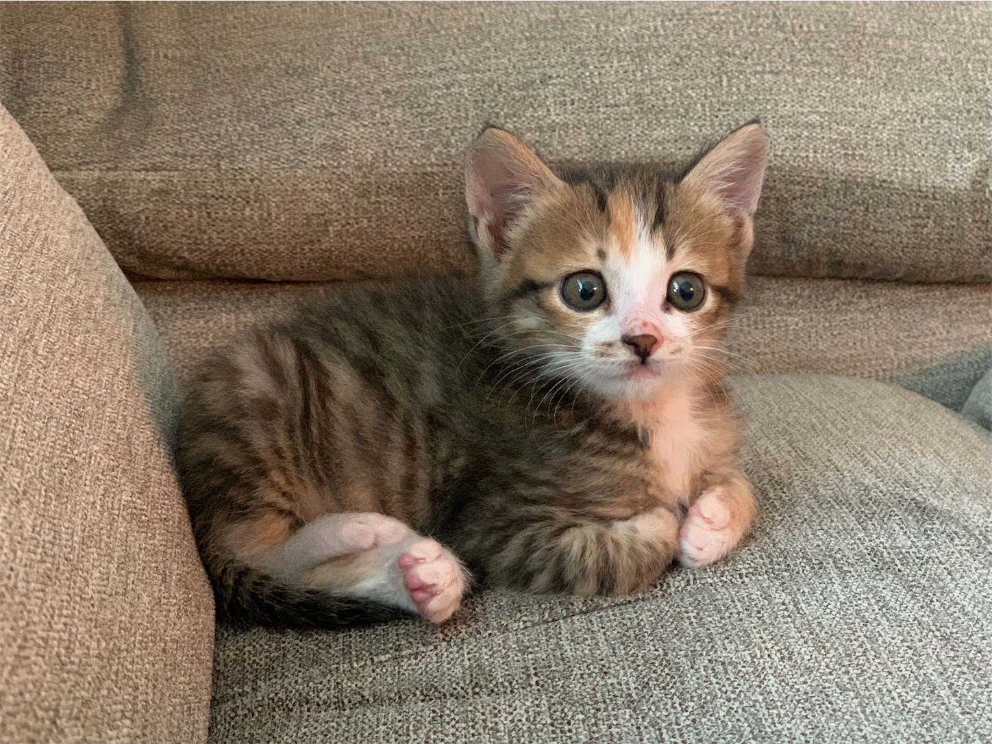 f:id:byronko:20210930074428j:plain