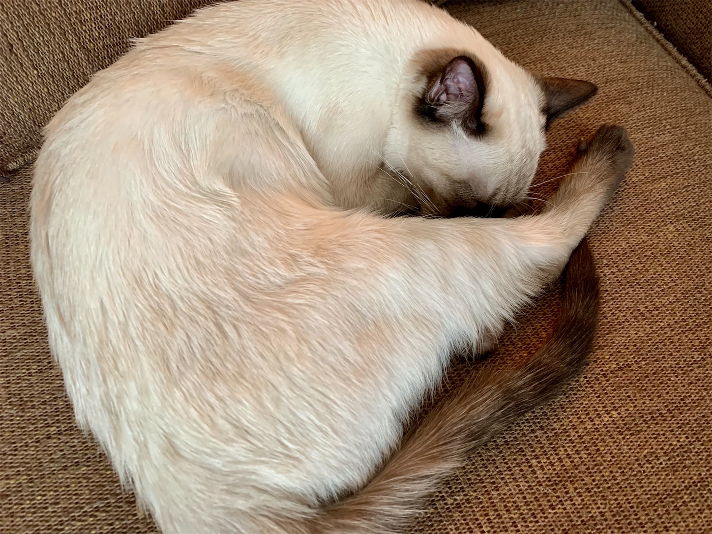 f:id:byronko:20220304130923j:plain