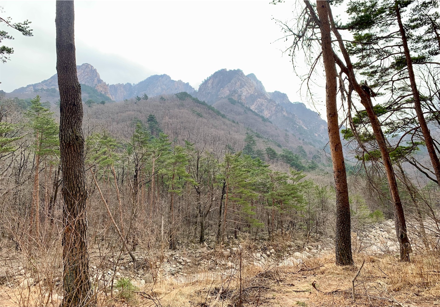 f:id:byronko:20220317195417j:plain