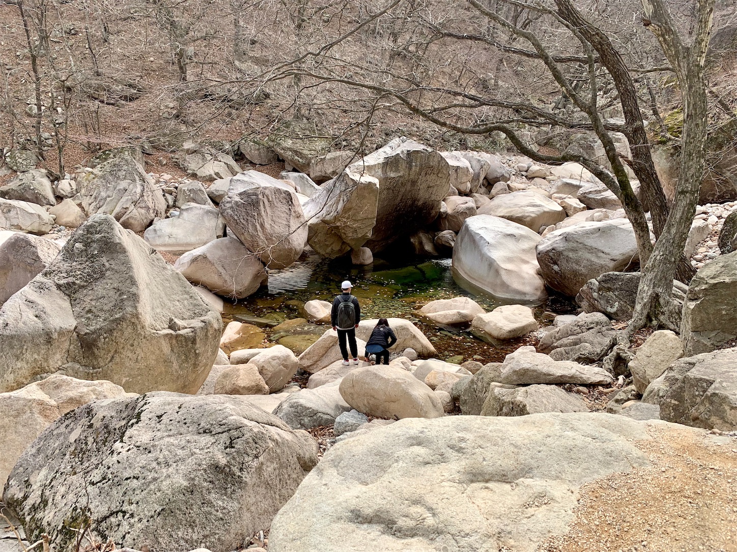 f:id:byronko:20220317195430j:plain