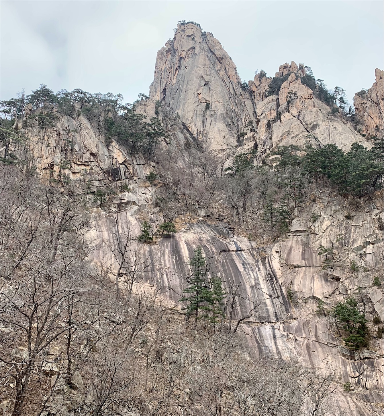 f:id:byronko:20220318090204j:plain