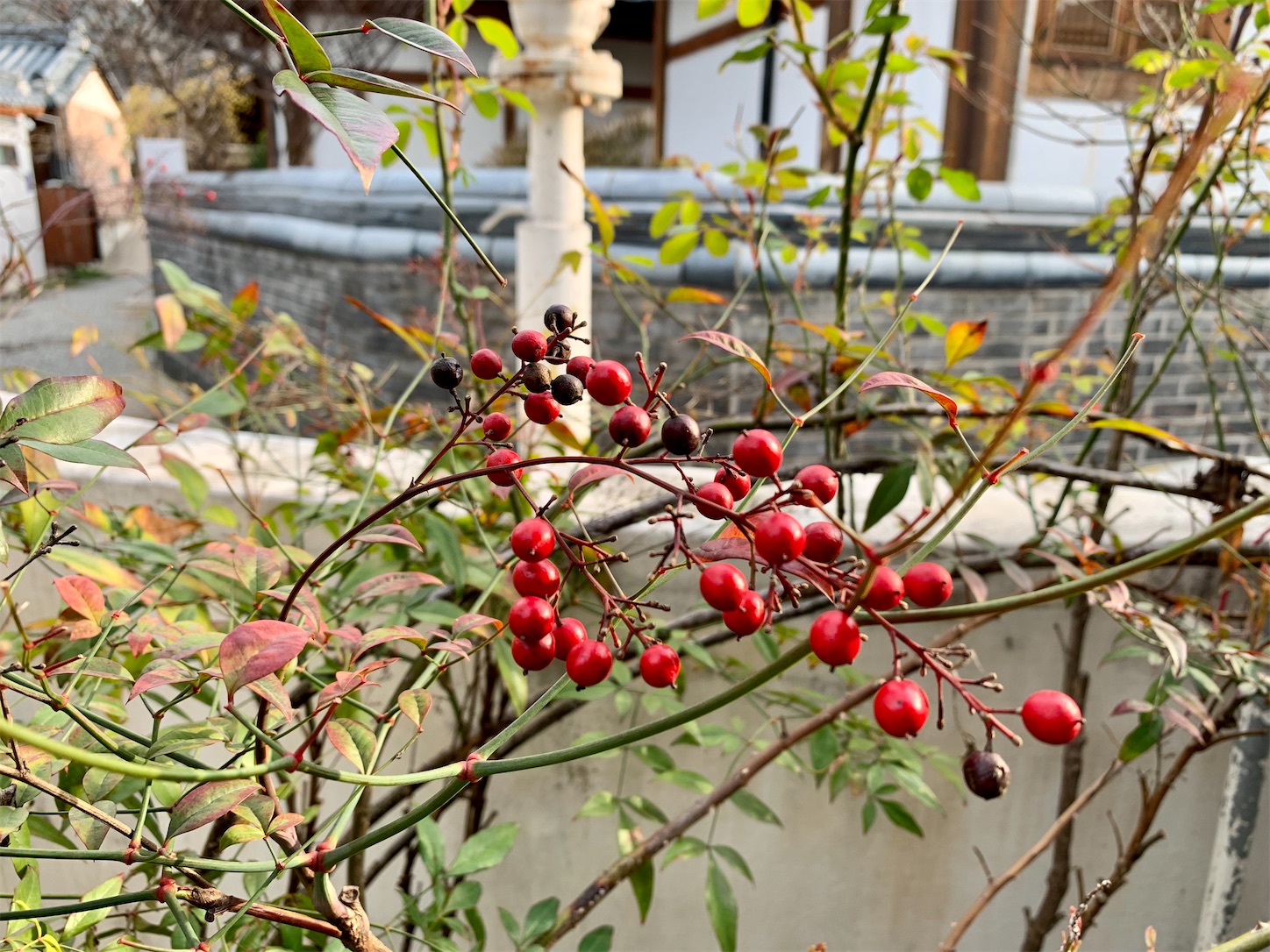 f:id:byronko:20220411130428j:plain