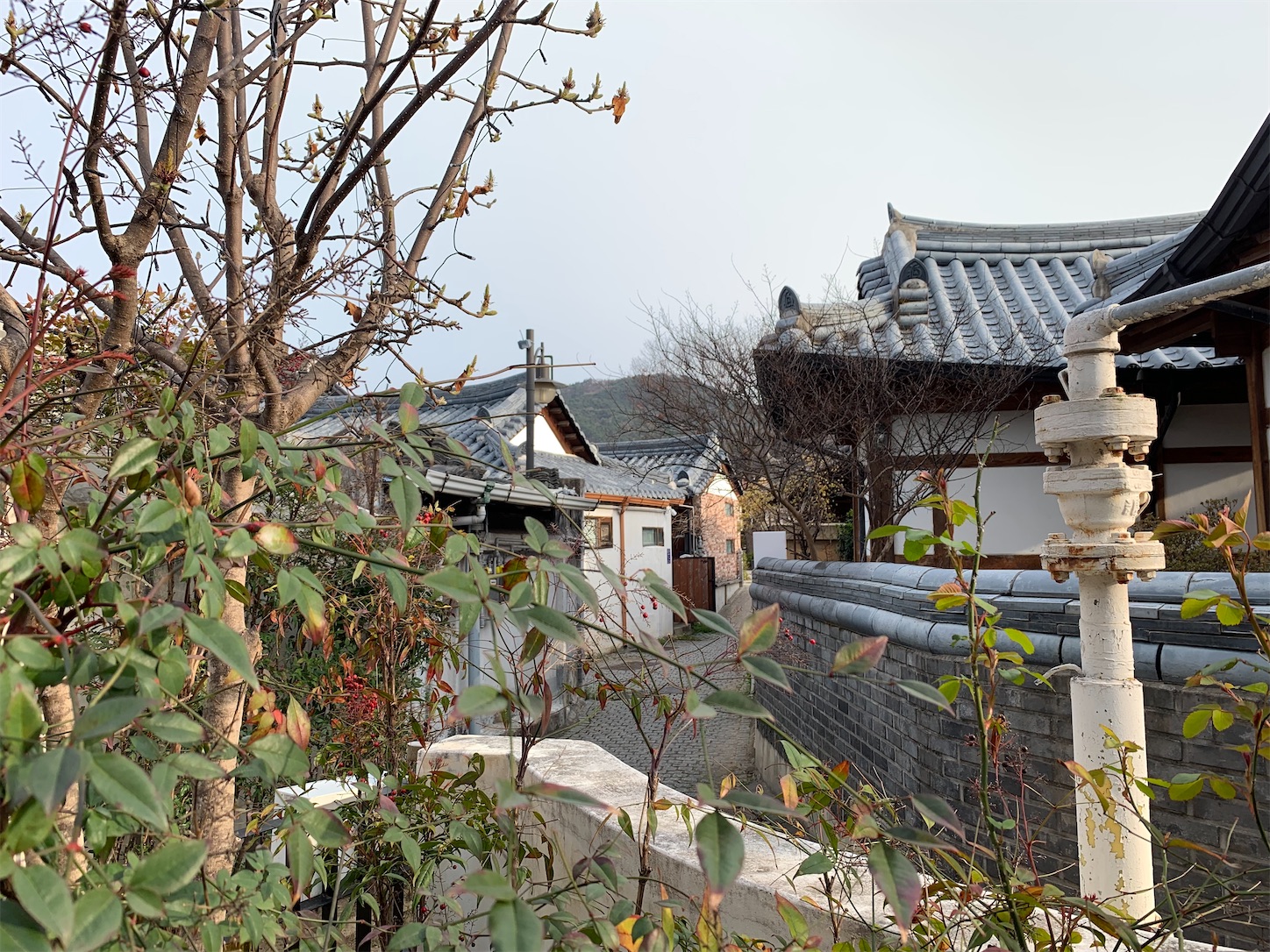 f:id:byronko:20220411130434j:plain