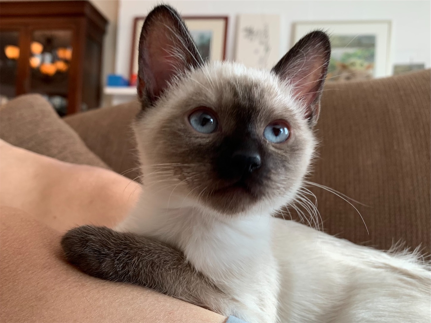 f:id:byronko:20220413145746j:plain