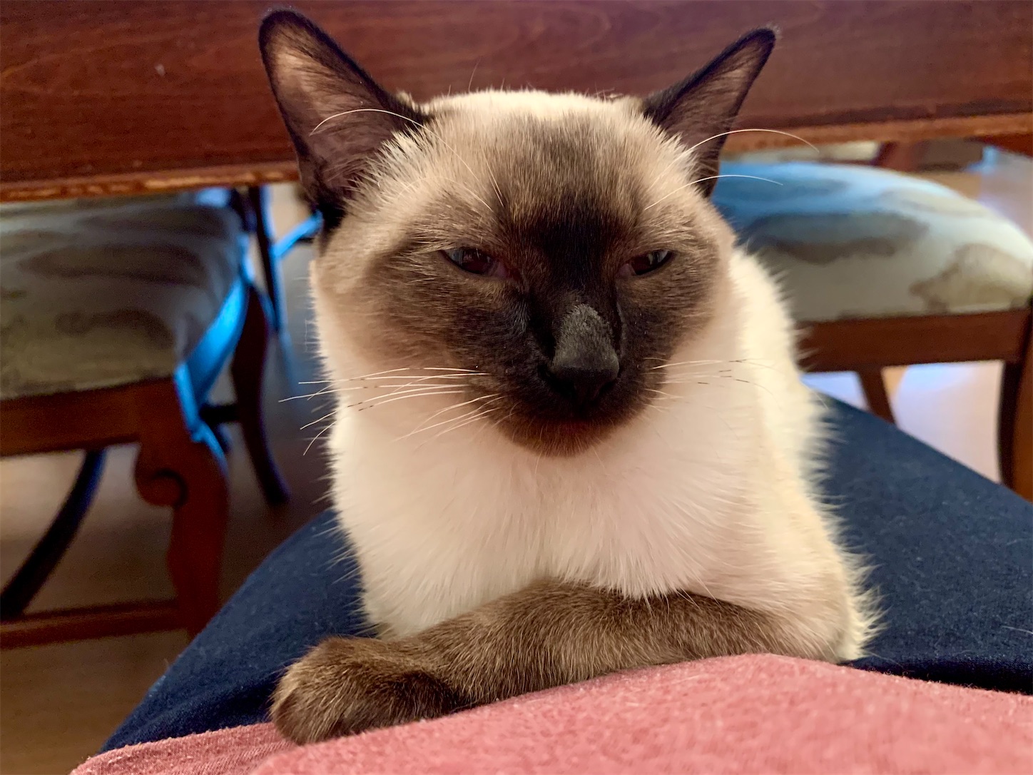 f:id:byronko:20220413145749j:plain