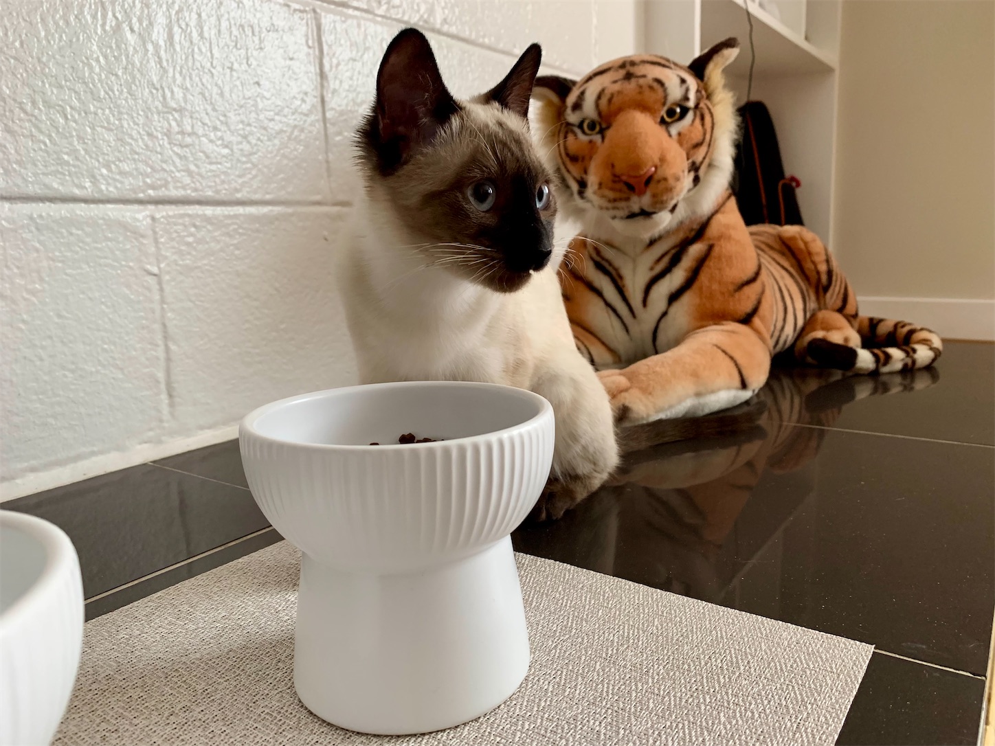 f:id:byronko:20220413150401j:plain