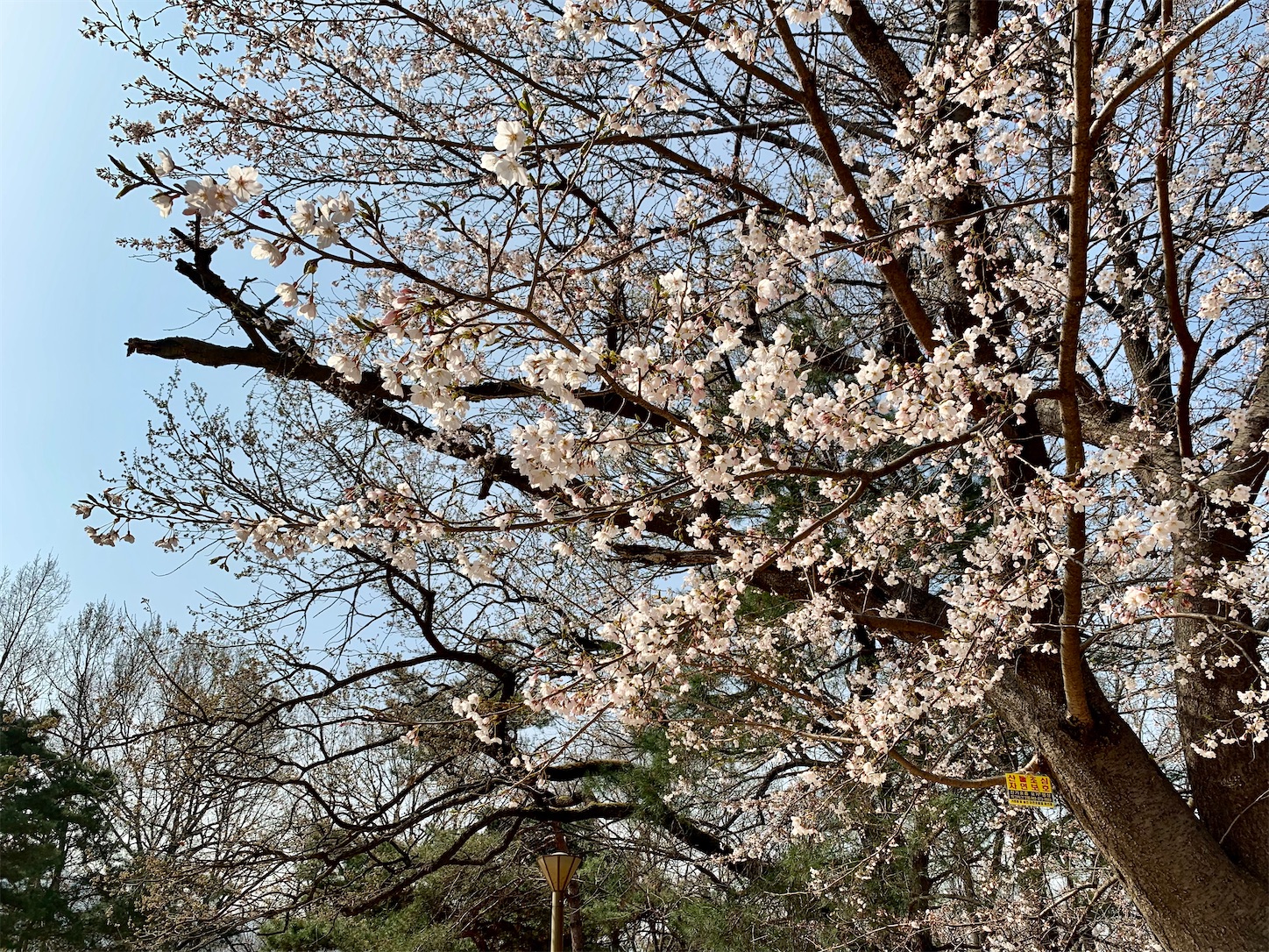 f:id:byronko:20220417091714j:plain