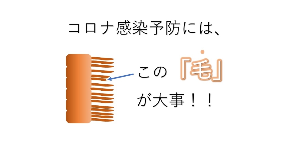 f:id:byte0304:20210111214433j:plain