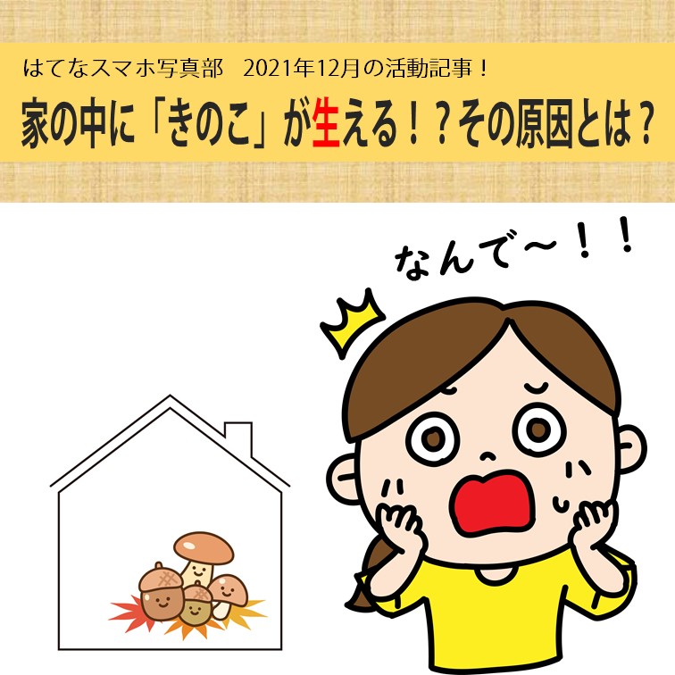 ちょ 不思議 家の中に きのこ が生える その原因とは てあわせblog