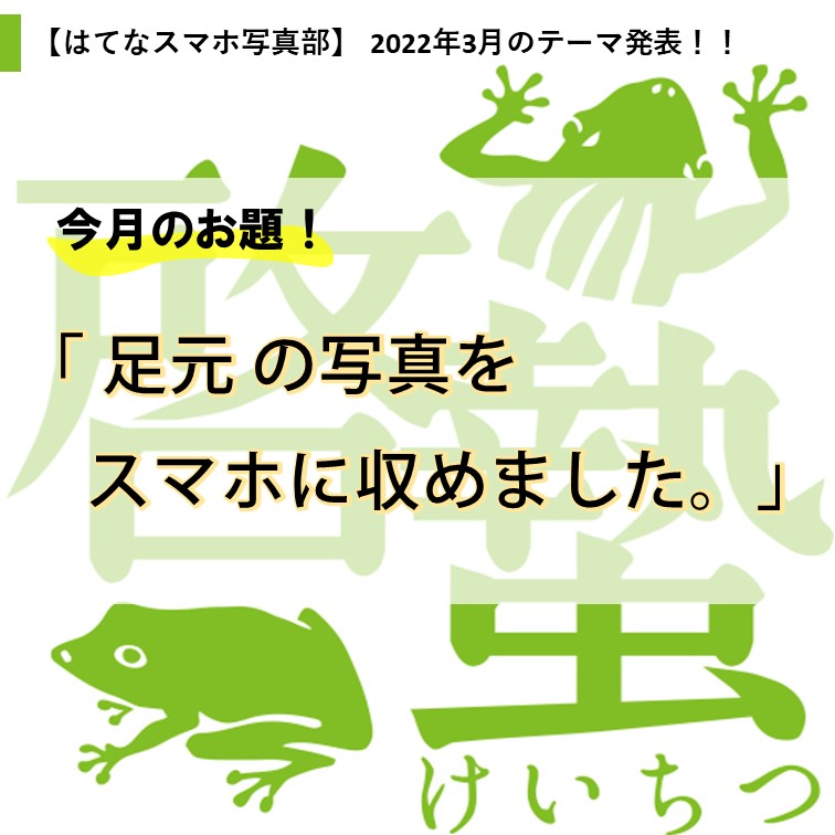 f:id:byte0304:20220303220344j:plain