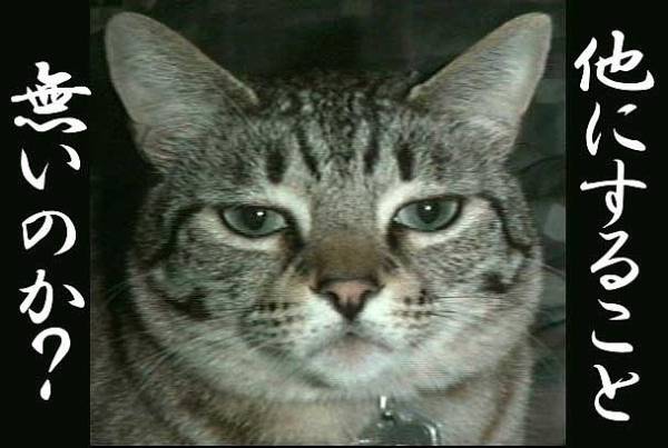 f:id:bz-badcommunication-nak:20170607013831j:plain f:id:bz-badcommunication-nak:20170607013831j:plain