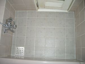 f:id:bzn-a:20060817231643j:image
