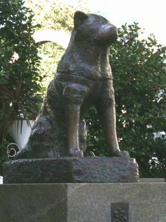 f:id:bzn-a:20061108001231j:image
