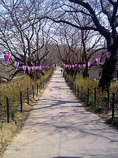 f:id:bzn-a:20070321133111j:image f:id:bzn-a:20070321133111j:image