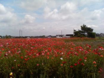 f:id:bzn-a:20070601214700j:image