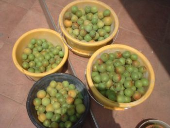 f:id:bzn-a:20070612222852j:image f:id:bzn-a:20070612222852j:image