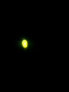 f:id:bzn-a:20070623200129j:image f:id:bzn-a:20070623200129j:image