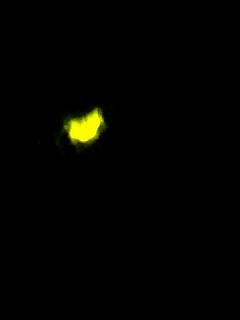 f:id:bzn-a:20070623200845j:image f:id:bzn-a:20070623200845j:image