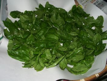 f:id:bzn-a:20070912204158j:image