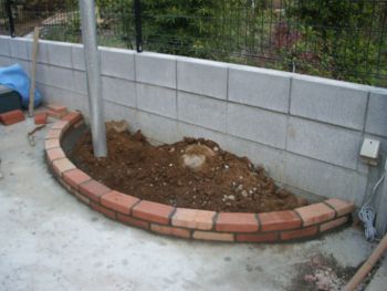 f:id:bzn-a:20071124183257j:image
