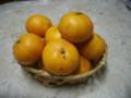 20071206220622