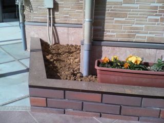 f:id:bzn-a:20080119232423j:image f:id:bzn-a:20080119232423j:image
