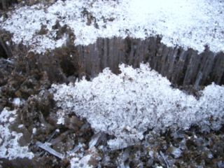 f:id:bzn-a:20080208232215j:image