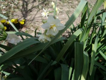 f:id:bzn-a:20080224230907j:image