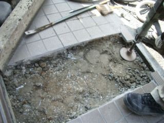 f:id:bzn-a:20080312002929j:image f:id:bzn-a:20080312002929j:image