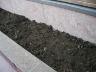 f:id:bzn-a:20080312003250j:image f:id:bzn-a:20080312003250j:image