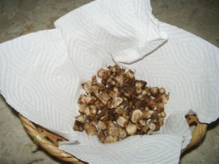 f:id:bzn-a:20080321210701j:image