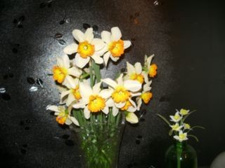 f:id:bzn-a:20080409222152j:image