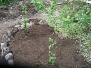 f:id:bzn-a:20080418215132j:image