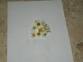 f:id:bzn-a:20080418215217j:image