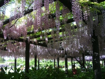 f:id:bzn-a:20080504214537j:image