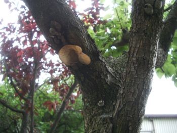 f:id:bzn-a:20080604214437j:image f:id:bzn-a:20080604214437j:image
