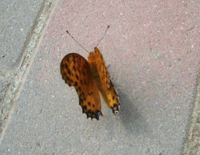 f:id:bzn-a:20080809230127j:image